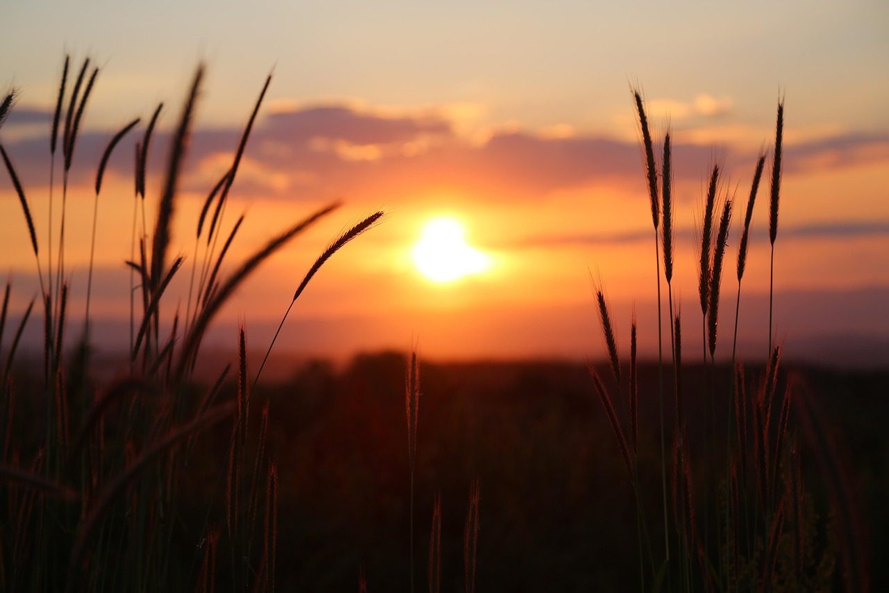 Zlatý horizont – ranní wellness rituál